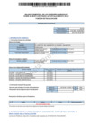 Vista preliminar de documento BALANCE SEMESTRAL MDSM