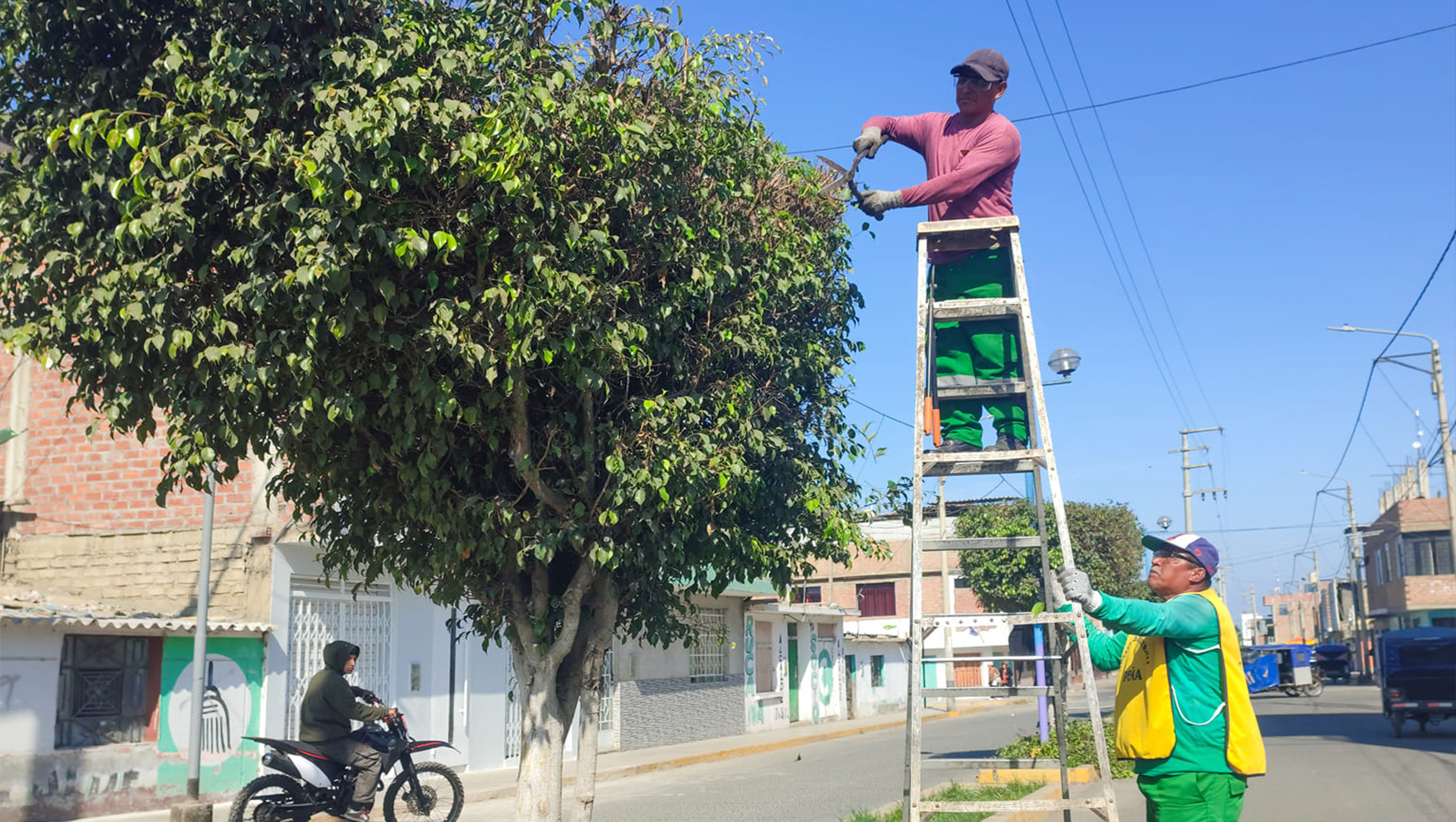 Nepeรฑa, te Quiero Verde