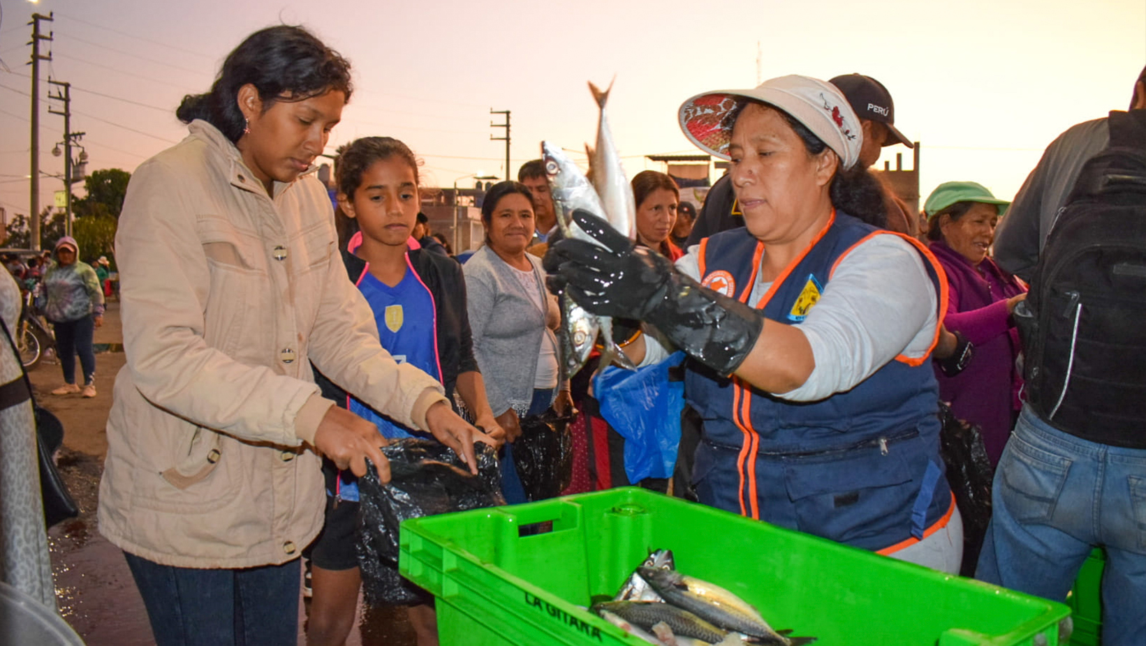 Repartimos tres toneladas y media de Pescado Caballa