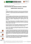 Vista preliminar de documento RESOLUCIÓN DIRECTORAL REGIONAL SECTORIAL-000429-2024-DRTC