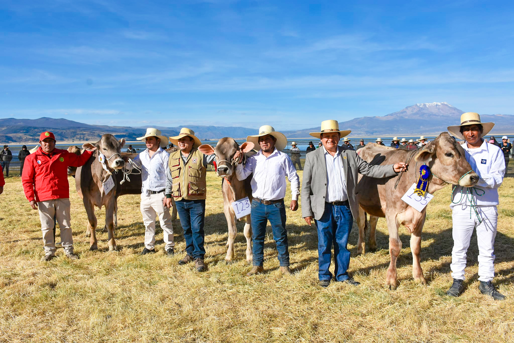 GORE Ayacucho promueve mejoramiento genético con desarrollo de expo feria ganadera en Parinacochas