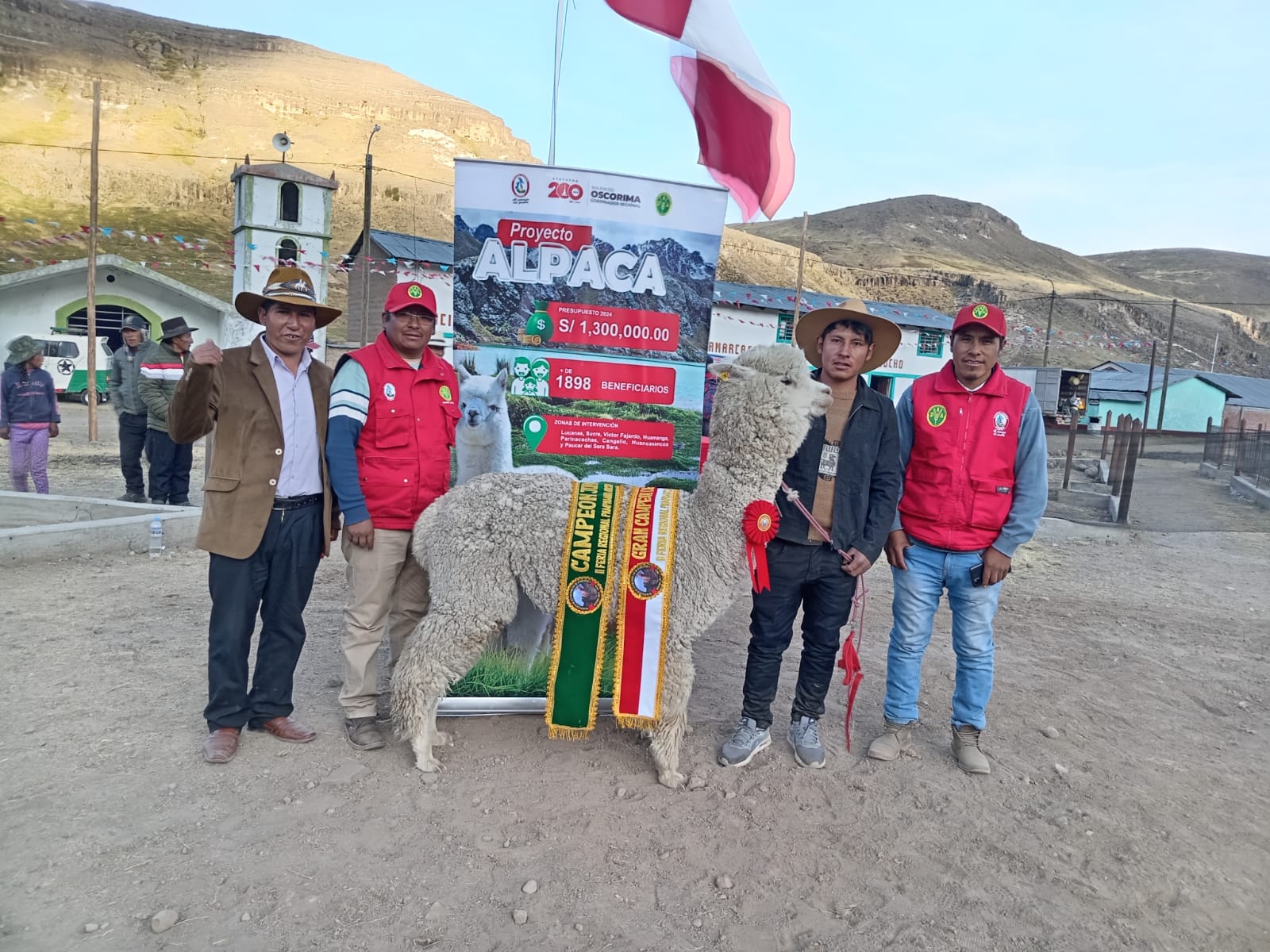 DRA Ayacucho desarrolló feria de camélidos sudamericanos en Pampamarca - Parinacochas