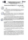 Vista preliminar de documento RDR N° 278-2024-GRU-DRA