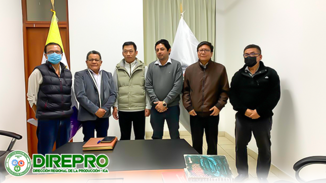 Reunión de Trabajo 