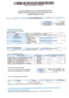 Vista preliminar de documento balance semestral