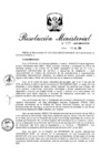 Vista preliminar de documento R. M. N° 193 - 2024