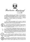 Vista preliminar de documento R. M. N° 194 - 2024