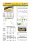 Vista preliminar de documento Boletín de abastecimiento y precio del ARROZ - 08/07/2024