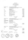 Vista preliminar de documento ANEXO N° 01 R.E.R. N°366-2024