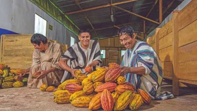Con una inversión de más de 123 millones de soles, MIDAGRI viene contribuyendo con el desarrollo de principales cadenas productivas como café, leche, papa, cuy, quinua, cacao y palta respectivamente.