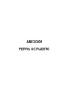 Vista preliminar de documento Anexo 01 Perfil de Puesto Profesional en Educación