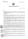 Vista preliminar de documento 101