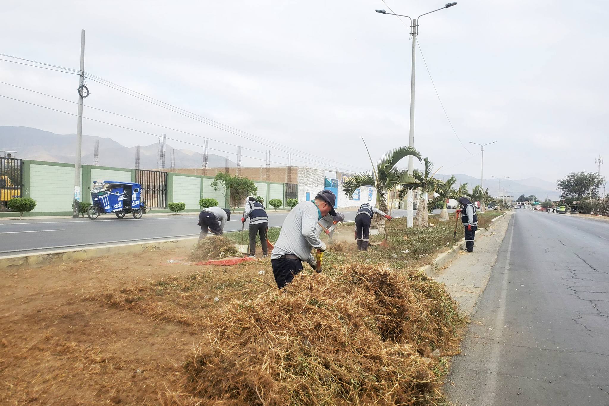 Seguimos intensificando labores de limpieza y recuperación de áreas verdes