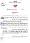 Vista preliminar de documento Resolucion Directoral N° 004152-2024