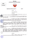 Vista preliminar de documento Resolucion Directoral N° 004157-2024