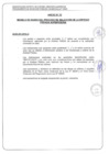 Vista preliminar de documento BASES PROCESO DE SELECCION N° 006-2021
