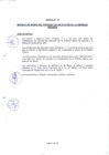 Vista preliminar de documento BASES PROCESO DE SELECCION N° 007-2021