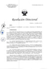 Vista preliminar de documento RD_N029-2023-DG-HEJCU-OP_0001