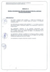 Vista preliminar de documento Bases de convocatoria