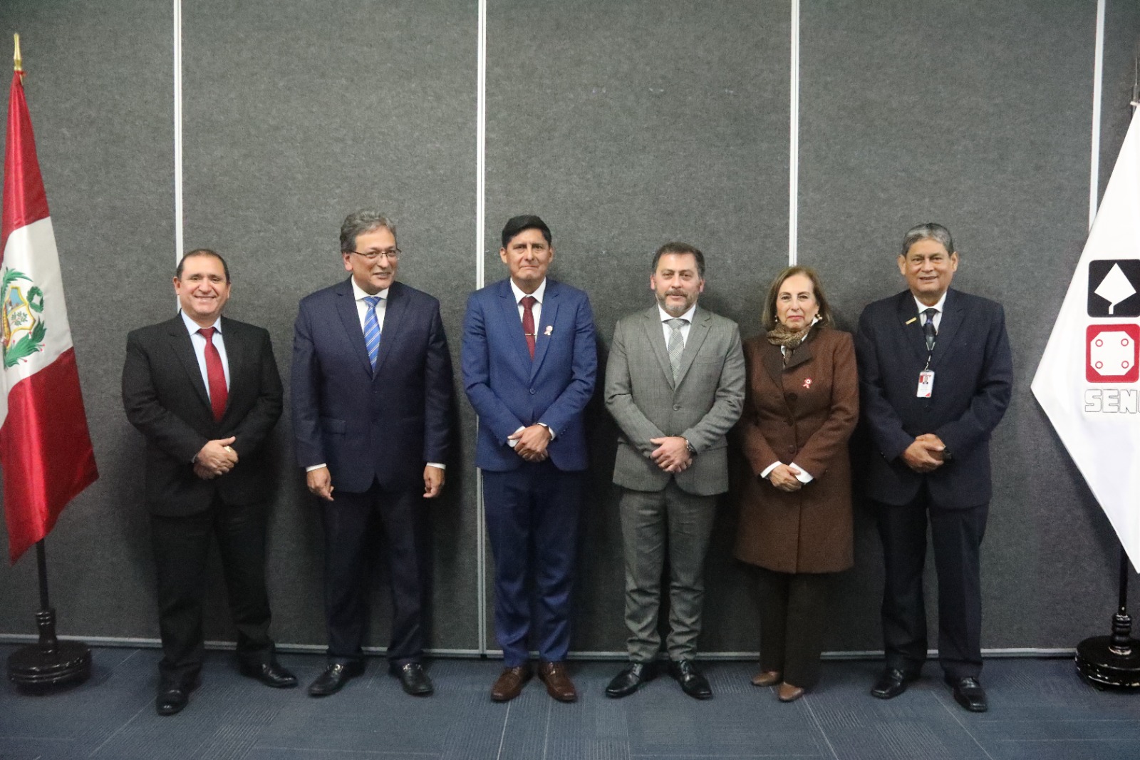 Grupo de Trabajo Sectorial MVCS y SENCICO