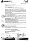 Vista preliminar de documento Ordenanza Municipal NRO 009-2024-MDS