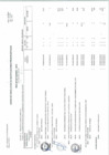 Vista preliminar de documento Anexo N° 133-2016-DV-SG