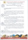 Vista preliminar de documento Documento003276