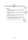 Vista preliminar de documento Bases de convocatoria