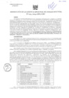 Vista preliminar de documento RES. 204-2024-GRA-GRI