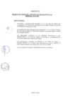 Vista preliminar de documento Bases de convocatoria