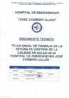 Vista preliminar de documento ANEXO RD 034 2023 DG HEJCU