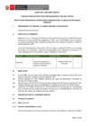 Vista preliminar de documento BASES PRACTICANTES PROFESIONALES 005-2024-DEVIDA