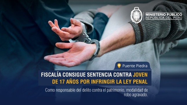 Infractor fue declarado responsable del delito contra el patrimonio, en la modalidad de robo agravado.
