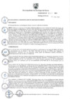 Vista preliminar de documento Ordenanza N° 641-MSS