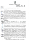 Vista preliminar de documento Ordenanza N° 656-MSS