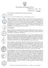 Vista preliminar de documento Ordenanza N° 635-MSS