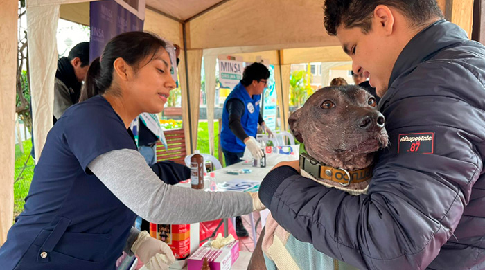 Diris Lima Sur realizó desfile de mascotas y Campaña Veterinaria en Barranco