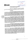 Vista preliminar de documento rgm_124_07_2024