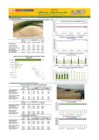 Vista preliminar de documento Boletín de abastecimiento y precio del ARROZ - 09/07/2024