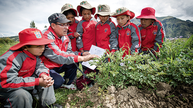 CNE: Formación docente y cambio climático fueron centro del diálogo educativo en junio