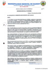 Vista preliminar de documento Ordenanza Municipal 011