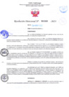 Vista preliminar de documento RD Nº000880 04-03-202307092023093234