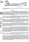 Vista preliminar de documento Resolucion Directoral N° 004173-2024