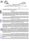 Vista preliminar de documento Resolucion Directoral N° 004175-2024