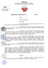 Vista preliminar de documento Resolucion Directoral N° 004176-2024