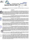 Vista preliminar de documento Resolucion Directoral N° 004177-2024-