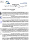 Vista preliminar de documento Resolucion Directoral N° 004196-2024