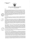 Vista preliminar de documento RER 381-2024