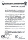 Vista preliminar de documento Resolucion
