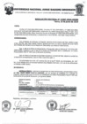 Vista preliminar de documento Resolucion